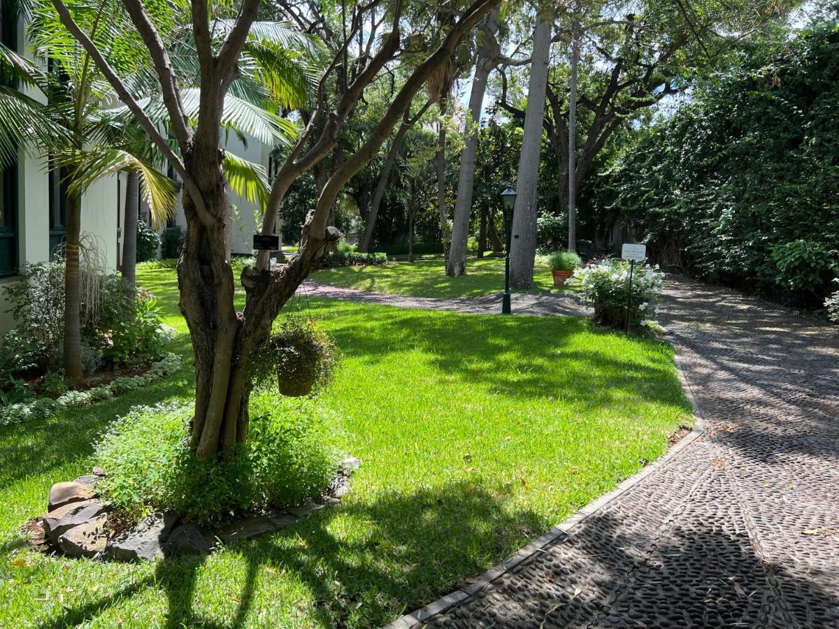 דירות פונשל Luxury Oceanfront At Reid'S Gardens מראה חיצוני תמונה
